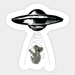 Koala abduction Sticker